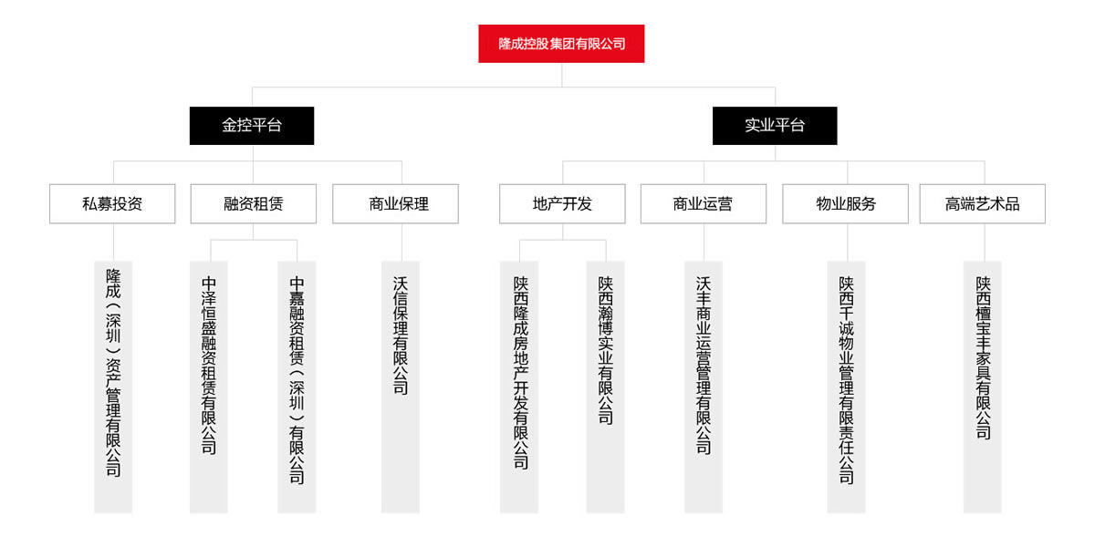 匯高OA系統(tǒng)陜西區(qū)為隆成控股集團公司進行管理升級！